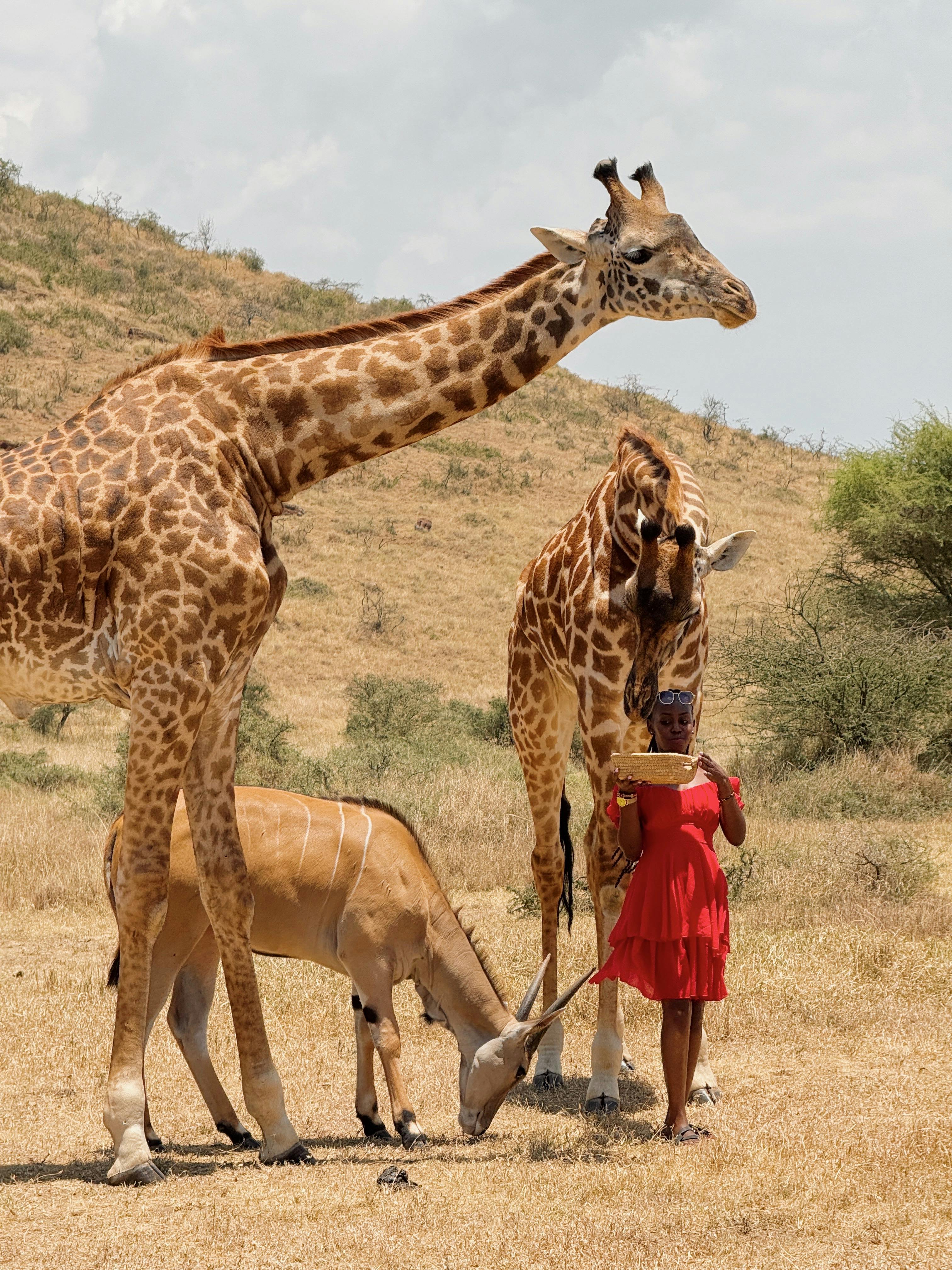 Best Of East Africa
